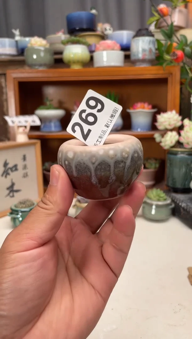瓷片269知木小芳花盆