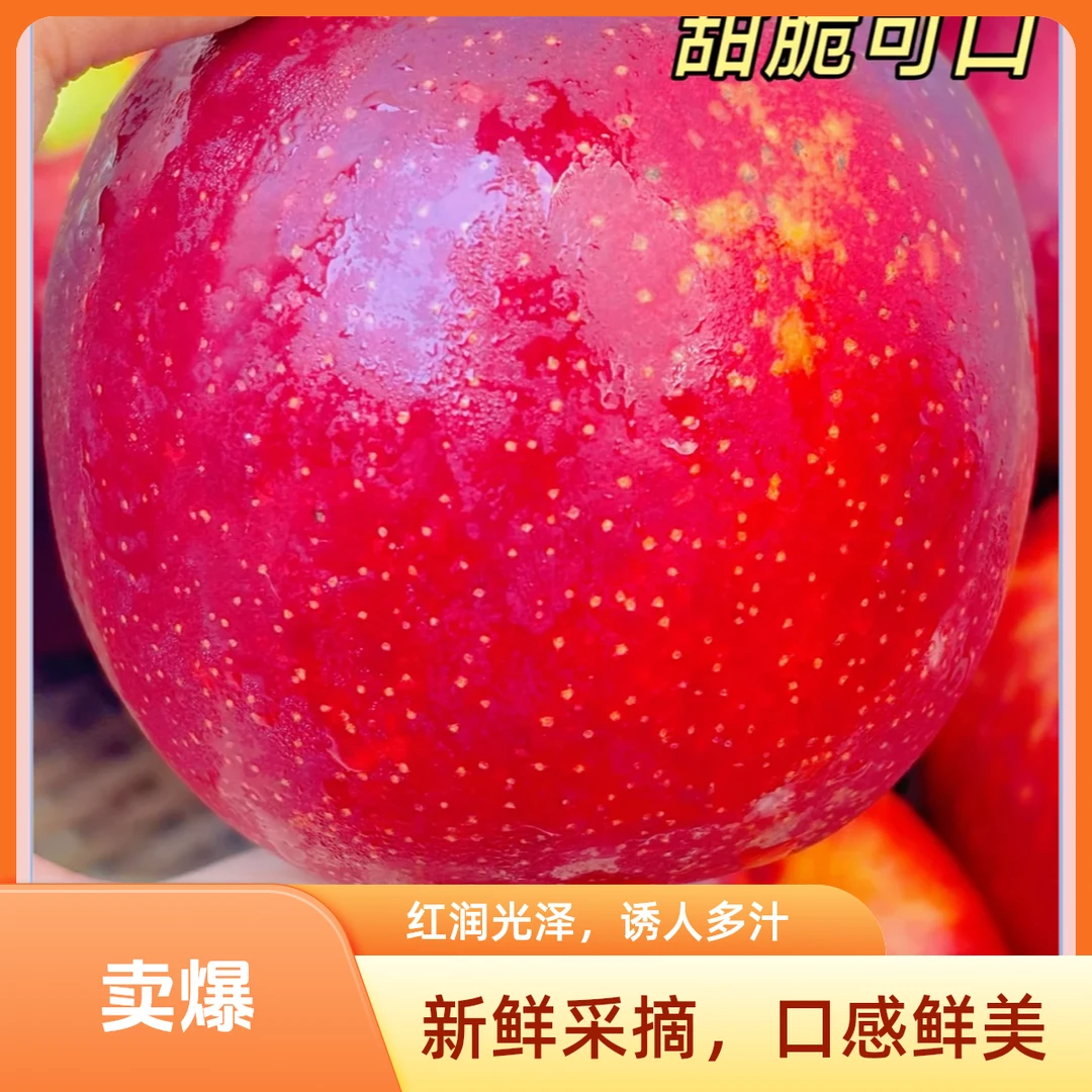 【丁果鲜生】新西兰进口红玫瑰苹果净重4.5斤新鲜苹果