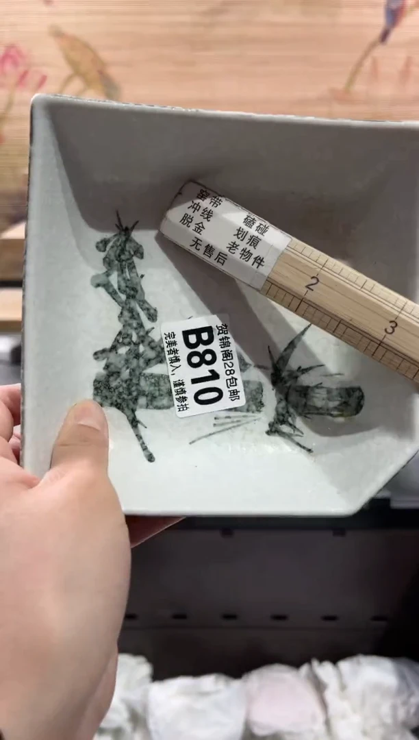 【闪购商品】瓷片当天满28米包邮B810