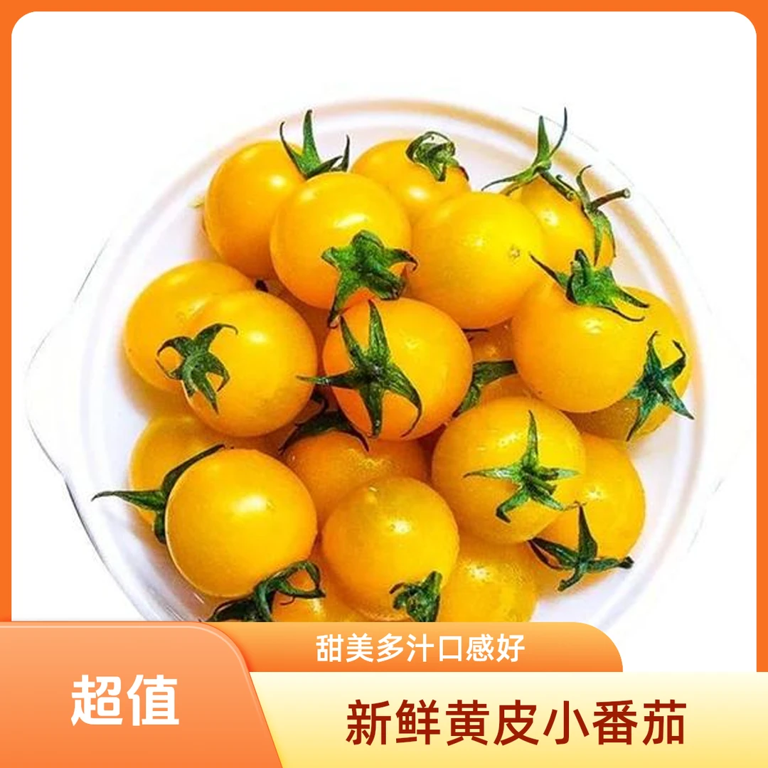 【一斤】黄色小番茄（来自全国优质番茄产区）番茄同城配