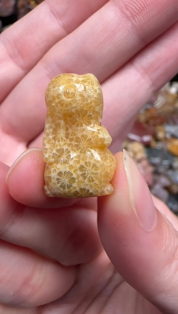 颈饰未镶嵌硅化珊瑚（珊瑚玉）116