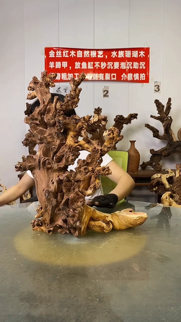 香榧木万***技金丝红木   羊蹄甲
