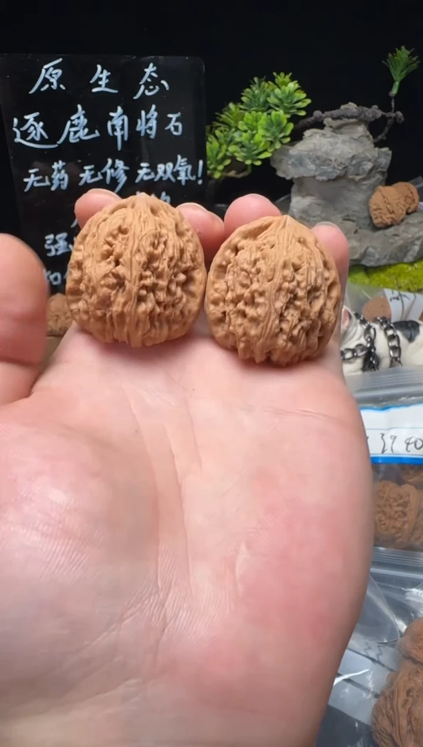 文玩核桃把件蓝*蜥南将石