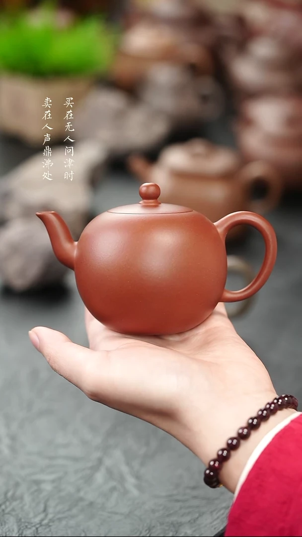 茶壶紫砂拾珍堂红皮龙裳合