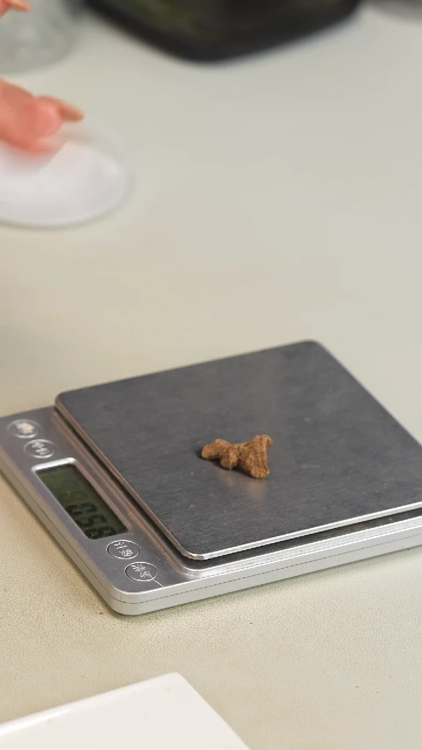 沉香沉香碎屑香港料0.5克