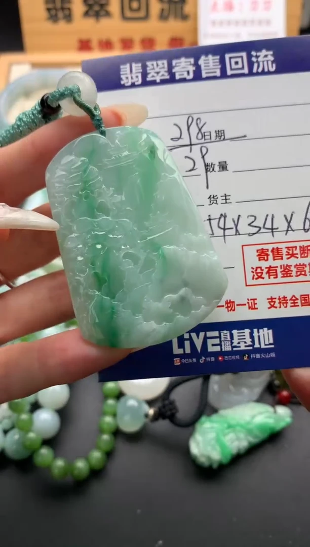 翡翠未镶嵌颈饰10138949