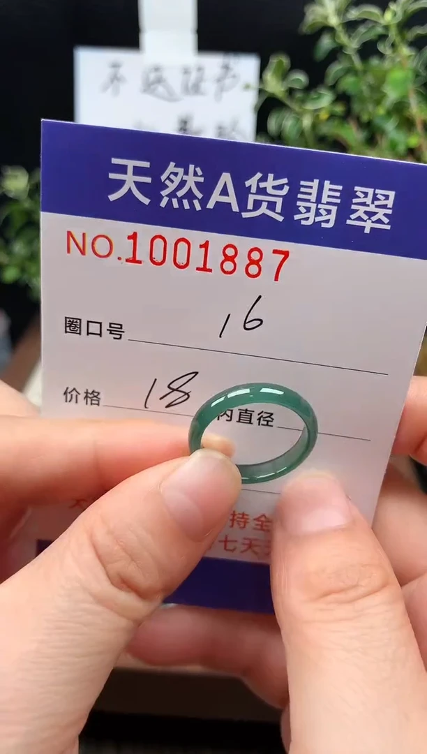 未镶嵌戒指翡翠16#