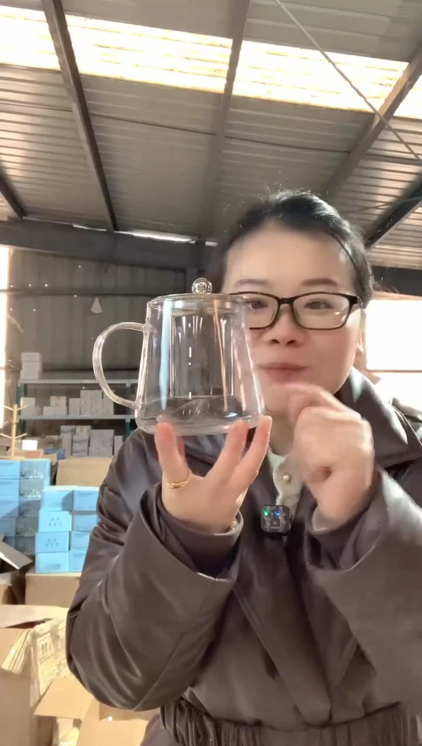 耐热玻璃茶隔款功夫茶500毫升   1只