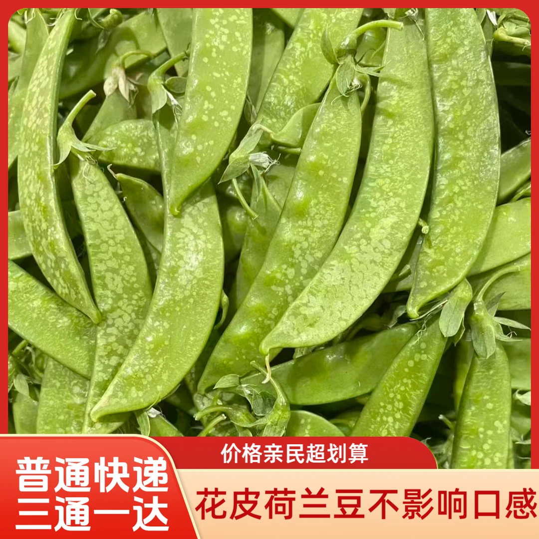【普通快递 花皮荷兰豆】云南新鲜豌豆荚现摘现发甜脆当季蔬菜