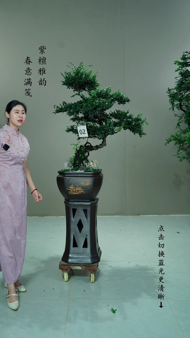 无花朵G****米02号链接
