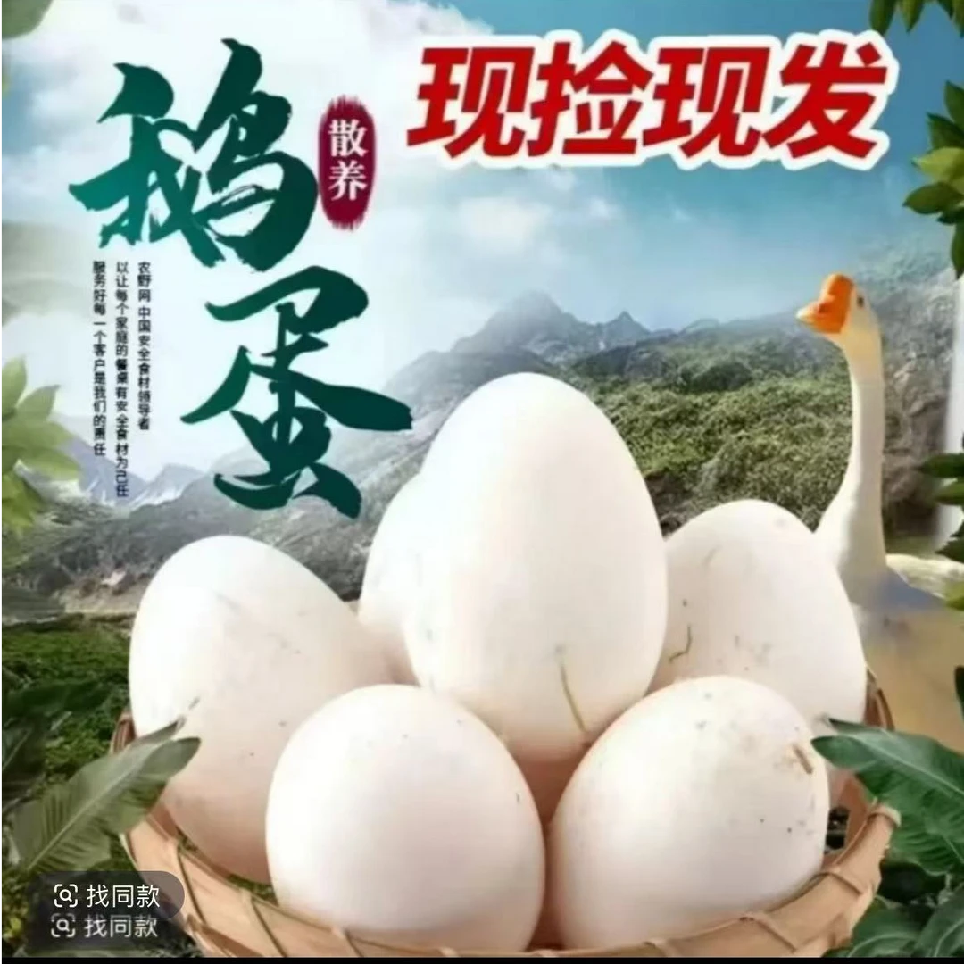 【到手20枚】新鲜大鹅蛋每天现捡孕妇宝宝放心大鹅蛋