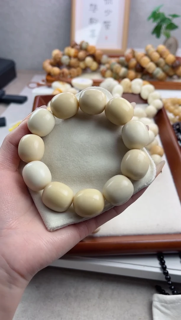【闪购商品】菩提根/象牙果手串s17象牙果枣珠19*21mm瑕疵不补