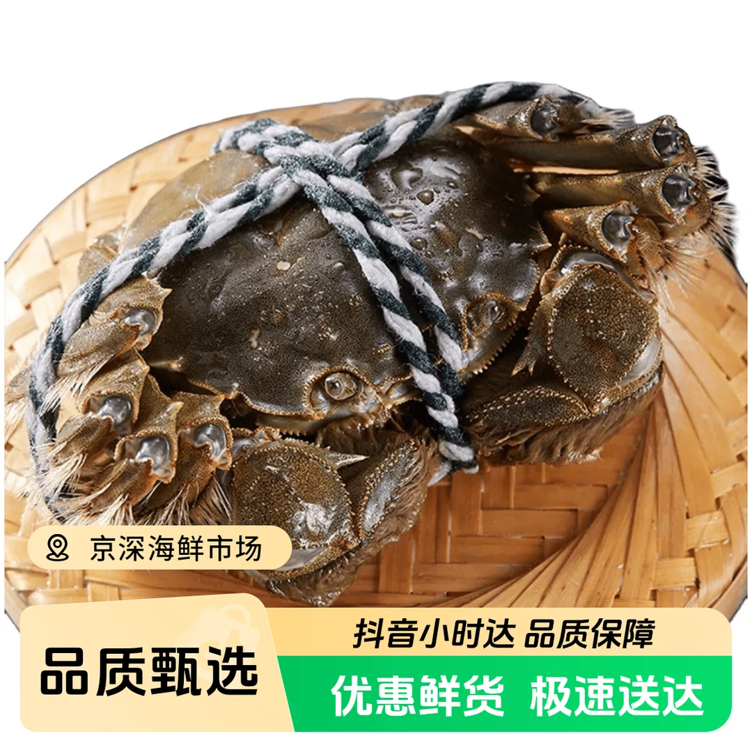 【8只装】清水大闸蟹（母蟹）2-3.5母