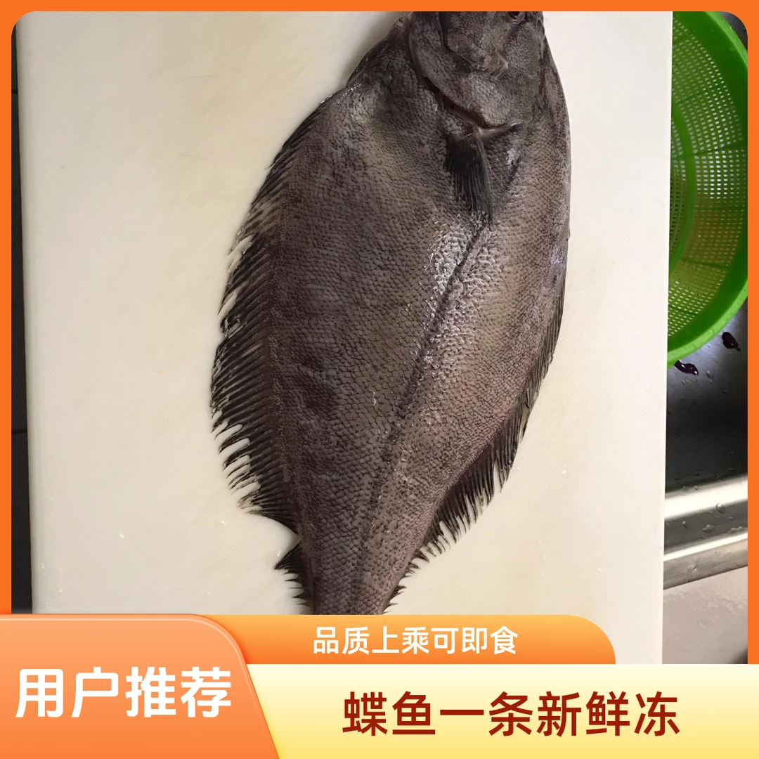 兰州同城配送冷冻蝶鱼1条1.7斤左右炸鱼