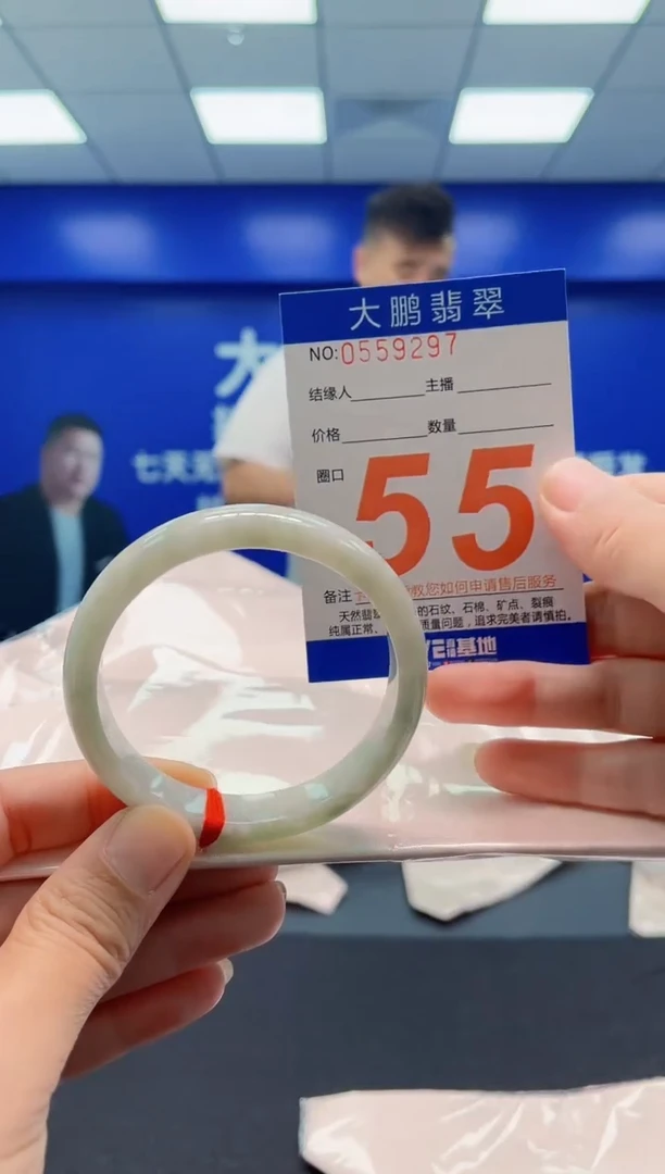 未镶嵌手镯翡翠AAAAAAAAA