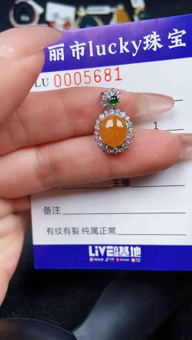 翡翠银S925镶嵌颈饰5681