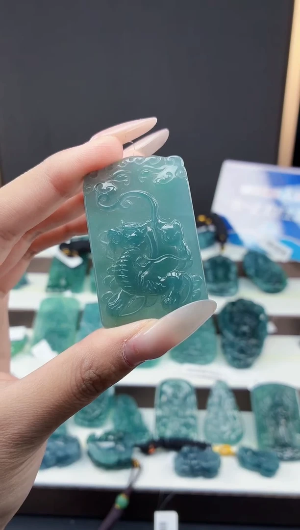 颈饰未镶嵌翡翠DLZ25111926