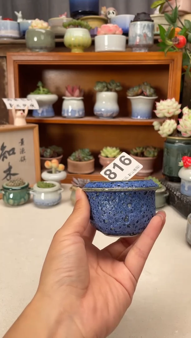 瓷片816知木小芳花盆
