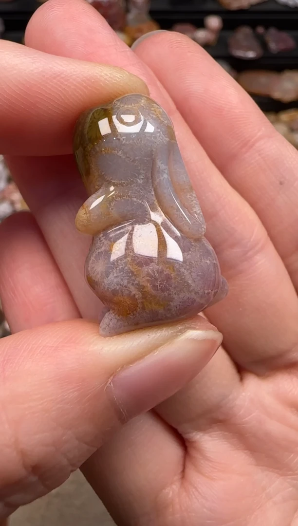 硅化珊瑚（珊瑚玉）未镶嵌颈饰794