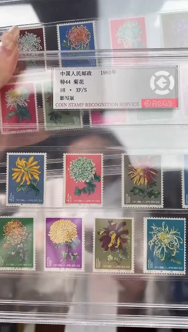 特44 菊花 RCGS评级 精大盒