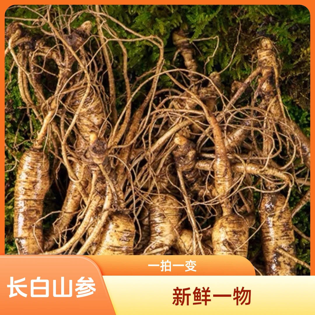 长白山林下参 鲜人参 改价链接一物一拍具体以东北直播间实物为准