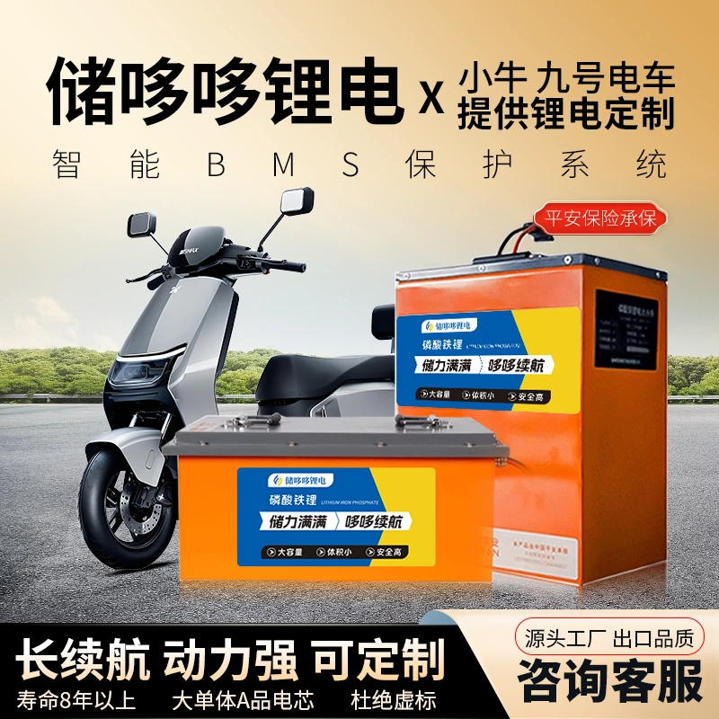 【尊享款】储哆哆电动车60V72V锂电池磷酸铁锂外卖两轮车锂电定制
