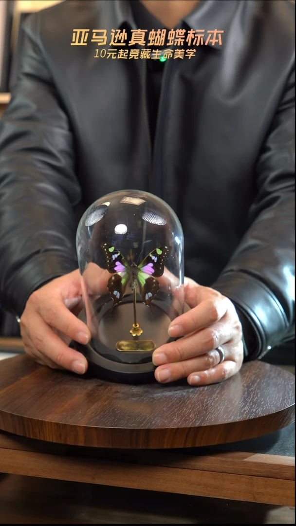 玫瑰青凤蝶小号玻璃罩