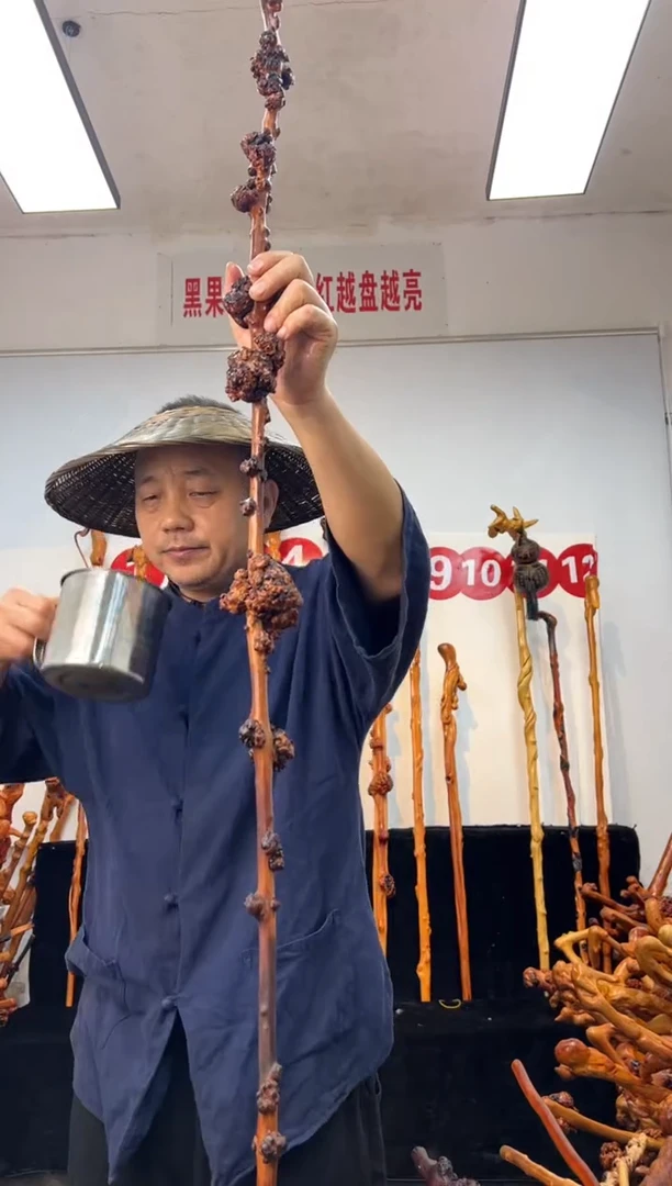 黑果木其他黑果木728