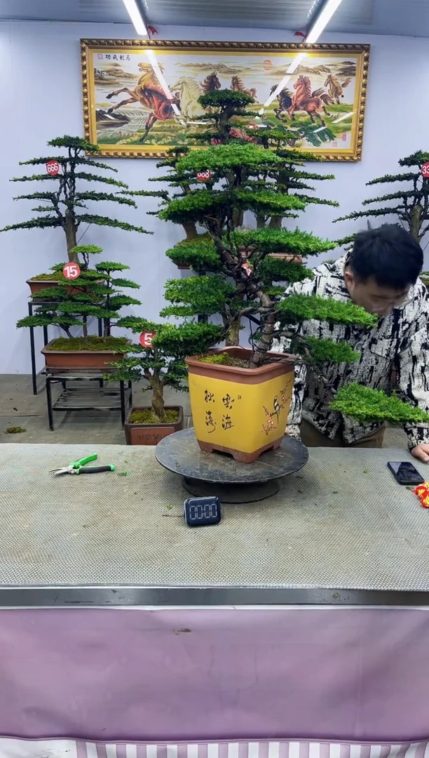 【闪购商品】啊啊啊啊啊