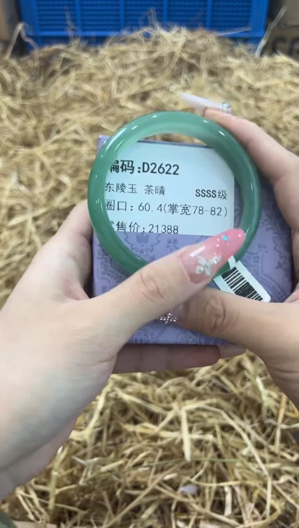 未镶嵌手镯石英质玉D2622