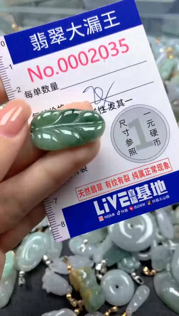 颈饰未镶嵌翡翠2035