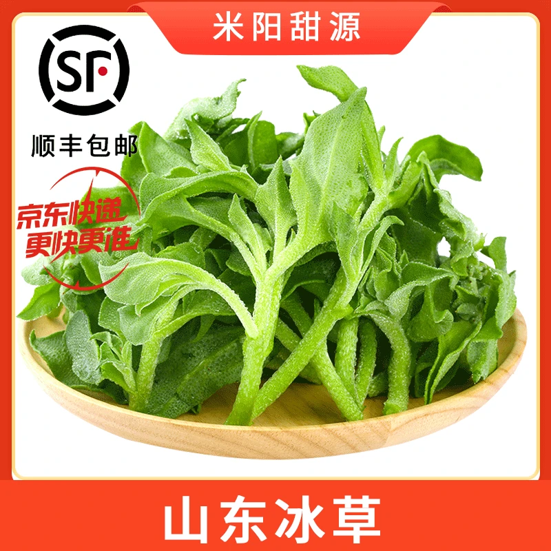 【米阳甜源】山东冰草 2/3斤