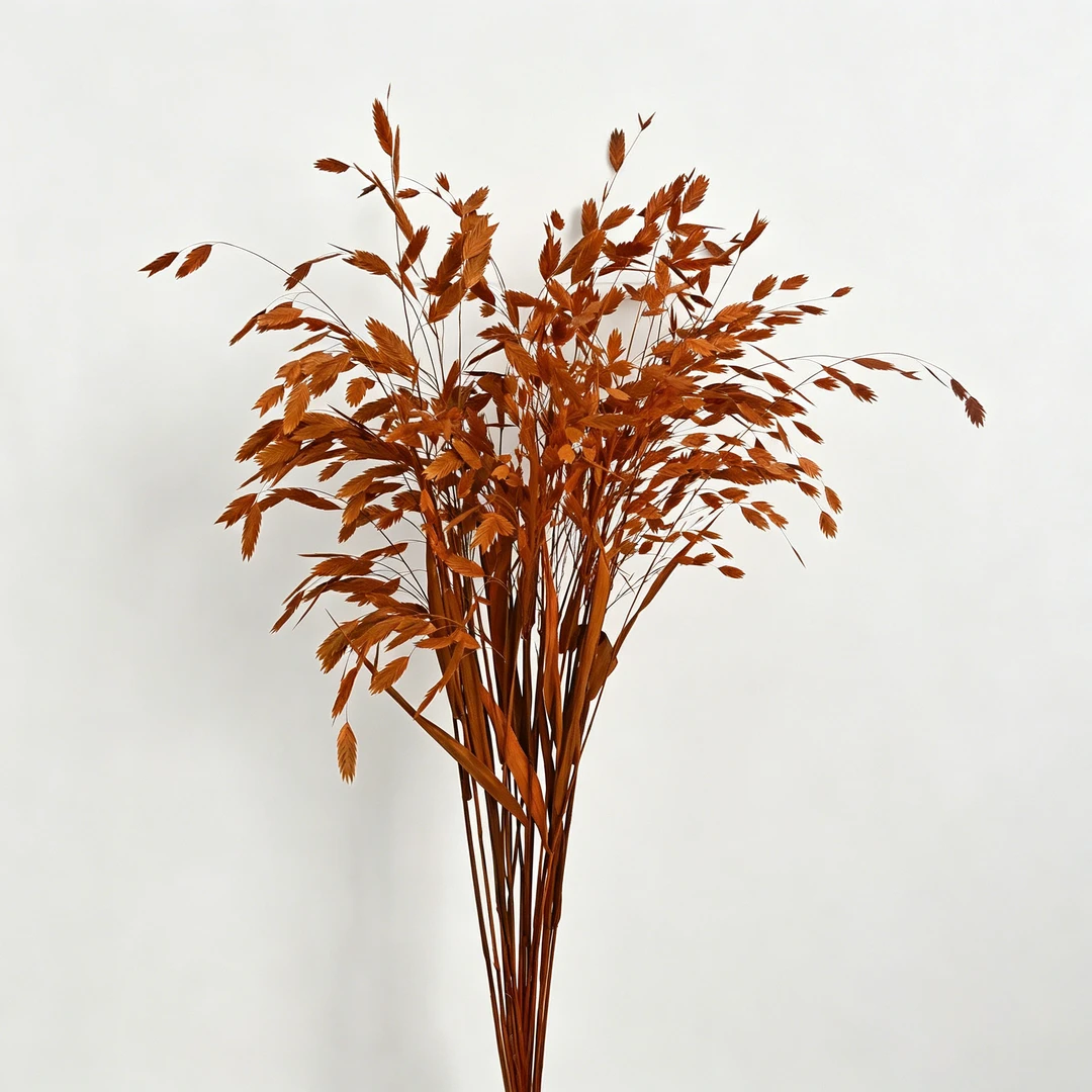 小盼草永生花花束清新简约适合居家装饰