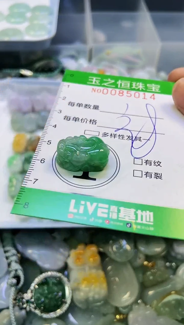 翡翠未镶嵌颈饰闪购0085014