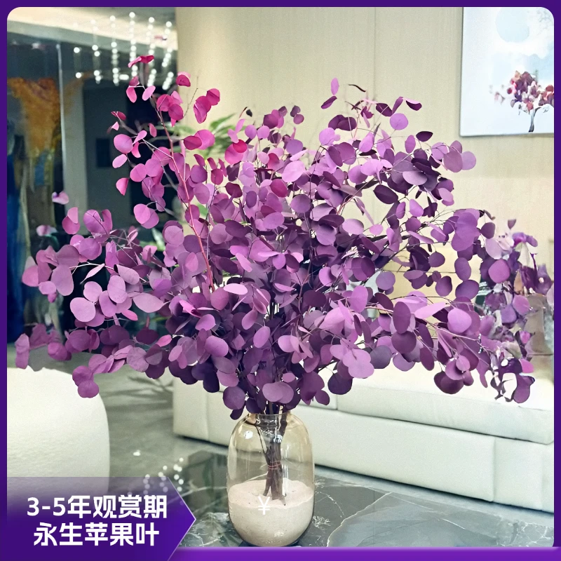 AAA级 苹果尤加利叶 现货库存  永生花 桌面款 紫气东来
