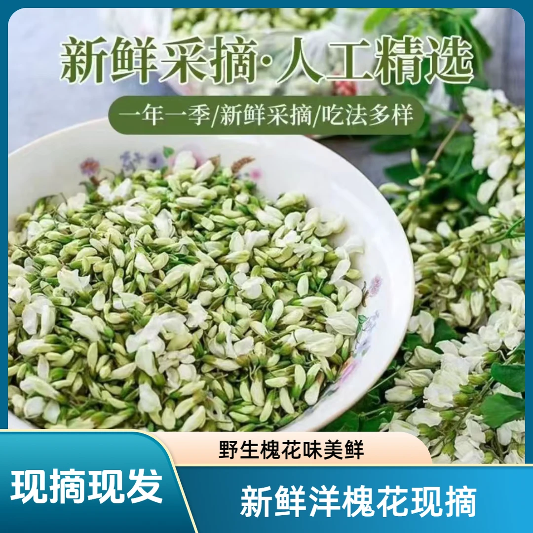 山东沂蒙山新鲜洋槐花现摘现发新鲜蔬菜野生槐花骨朵野菜