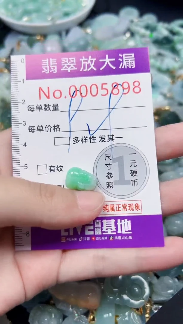 颈饰未镶嵌翡翠5898