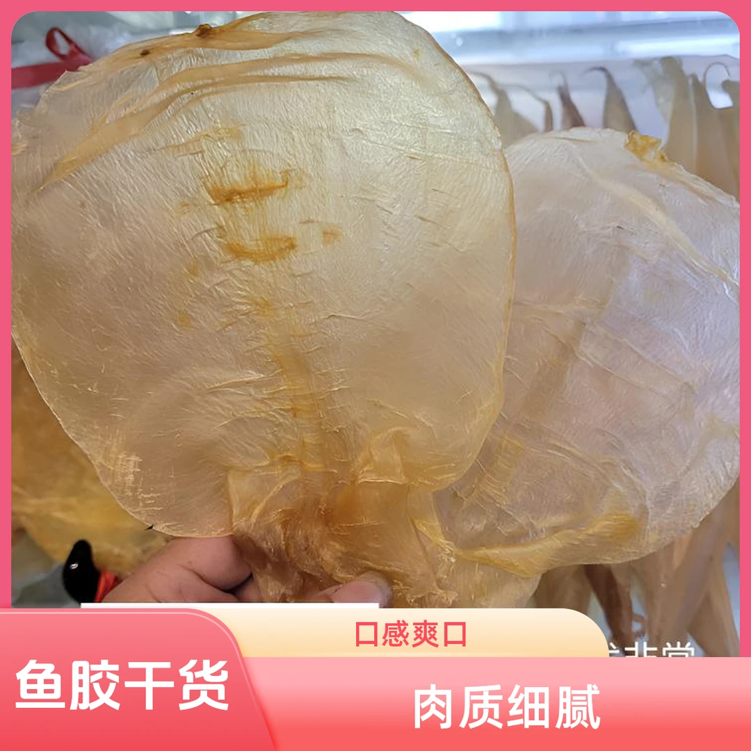 甲肚胶片 肉质细腻 囗感爽口 汕头鱼漂干货花胶