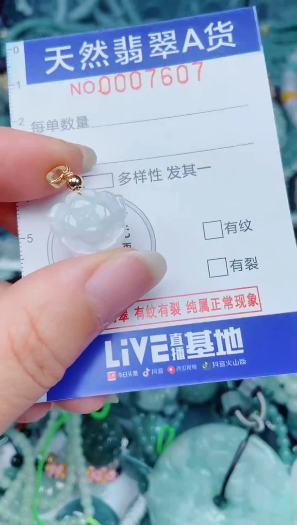 颈饰未镶嵌翡翠00007607