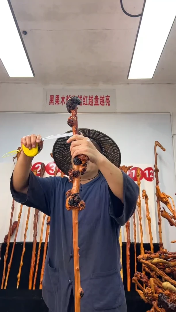 黑果木其他黑果木858