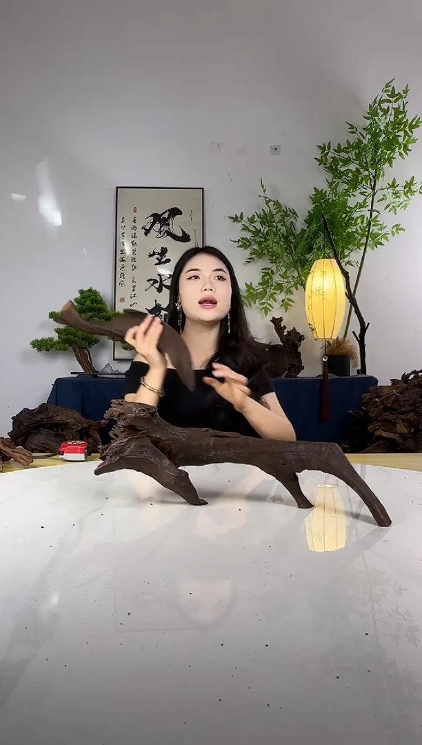 王*彪拍这个定向编号9