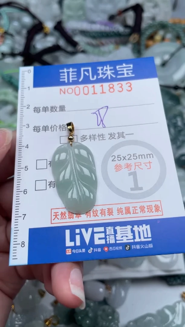 颈饰未镶嵌翡翠11833