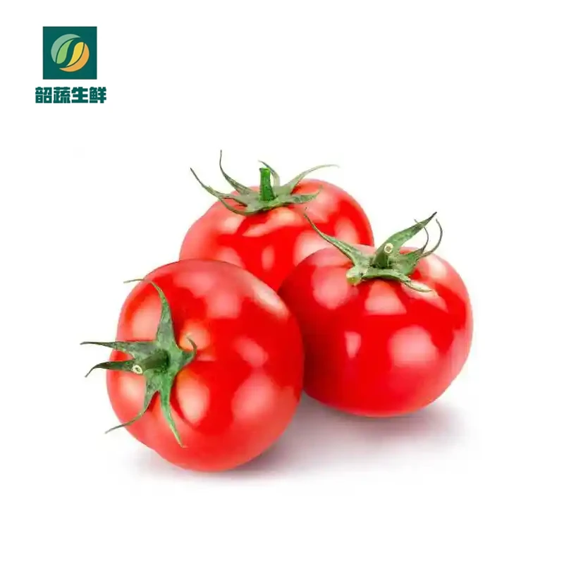 （新鲜）西红柿 500g