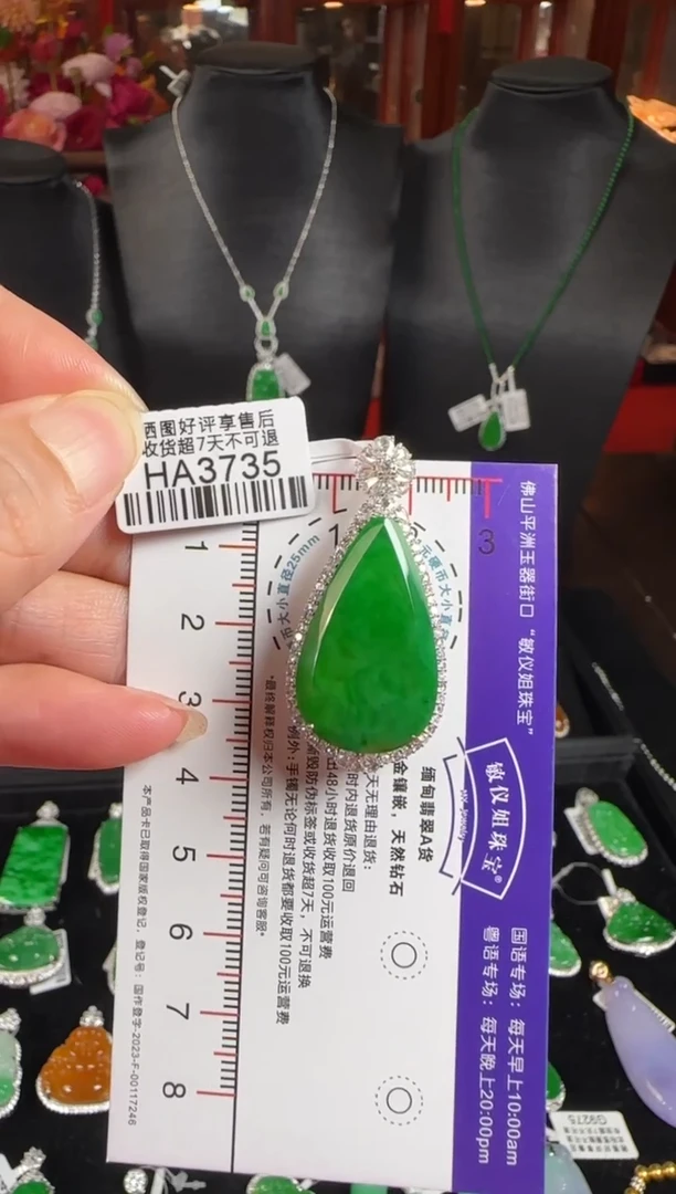 颈饰18K金镶嵌翡翠HA3735冰绿滴水