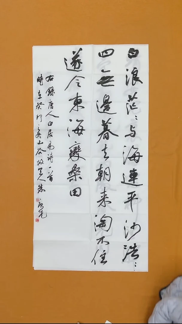 书法朱庚先 江西九江 第四届草书展 368*138 八平尺