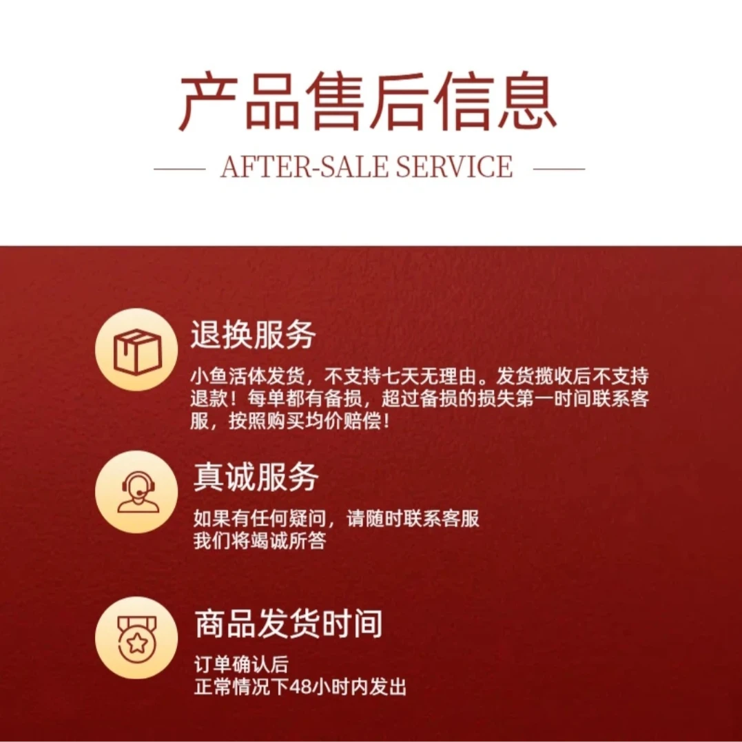 精品菊花帆摺扇孔雀鱼 好养耐活 活体观赏鱼（3cm左右）