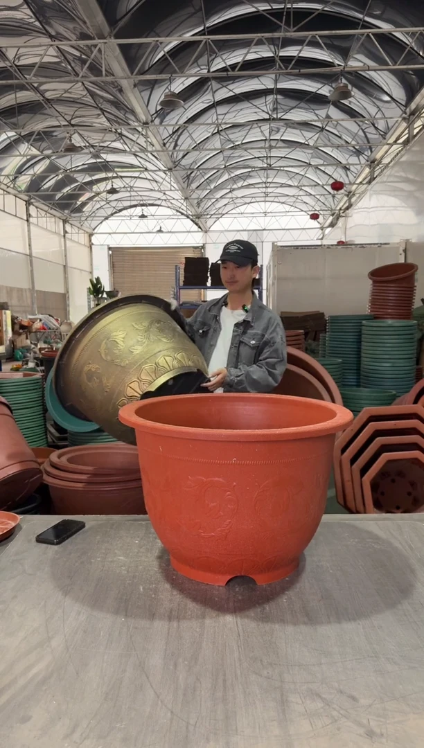 【闪购商品】复合60口径红欧花2个