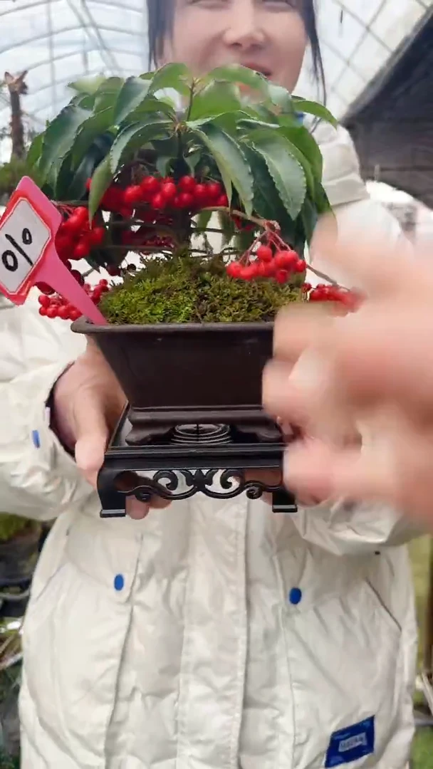 【闪购商品】010