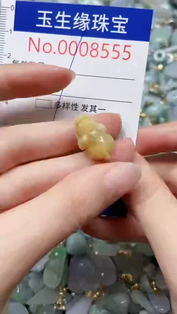 【闪购商品】翡翠颈饰未镶嵌闪购00008555