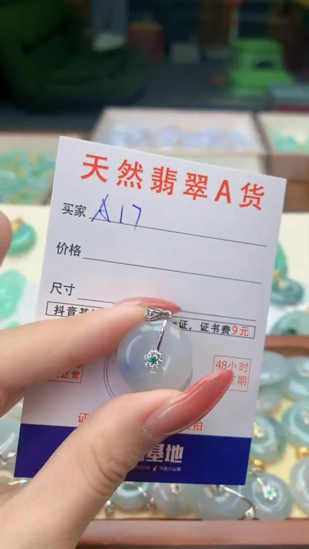 颈饰未镶嵌翡翠天然A货翡翠挂件